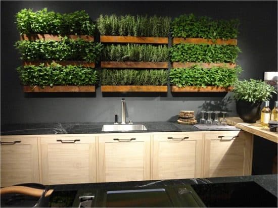 Kitchen wall DIY herb garden