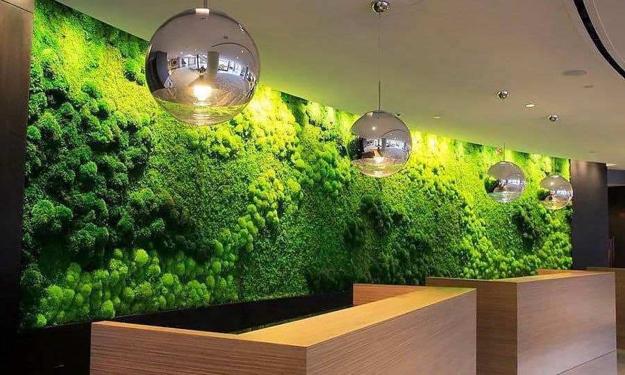 Green Wall - Maintenance Free