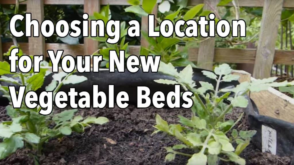 Top 10 Tips To Set Up Your Own Backyard Garden 2 Choose Your Garden Location