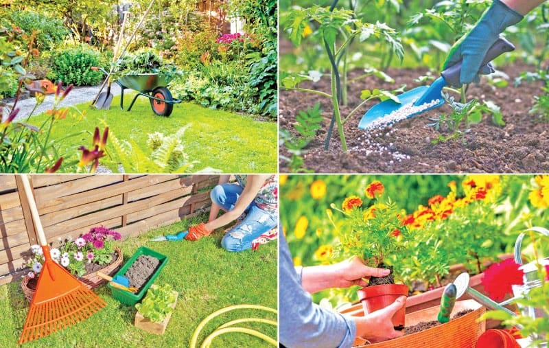 Maintain Your Garden