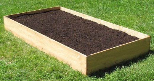 Prep The Garden Bed