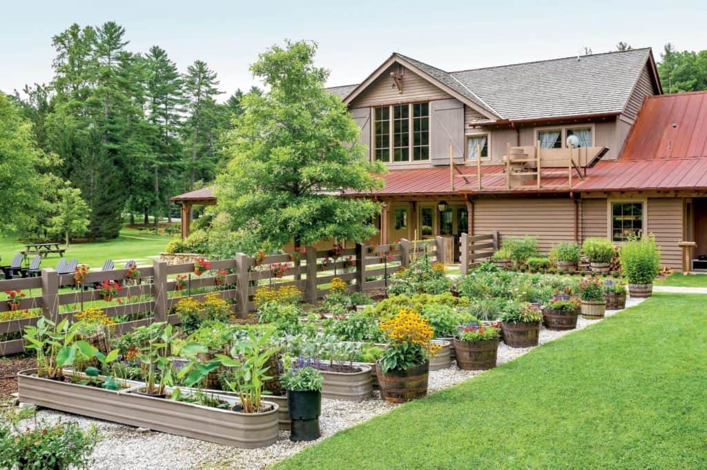 Top 10 Tips To Set Up Your Own Backyard Garden