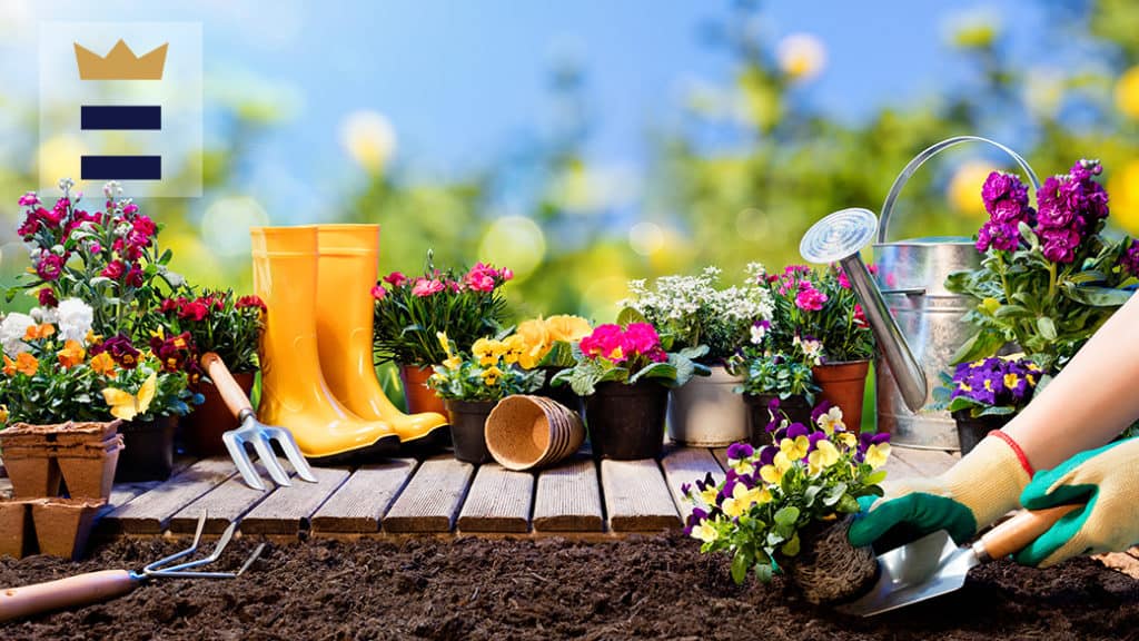 What Are The Tools Required For Flower Gardening
