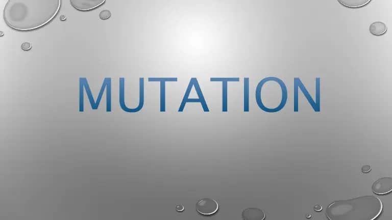 Mutation Records And Its Importance