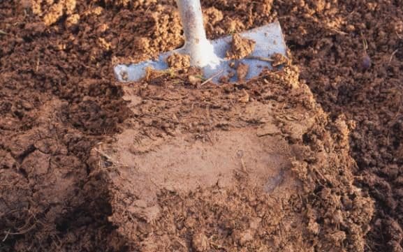 6 Different Types Of Soil In India That Can Be Used To Grow Plants 2 Clay Soil