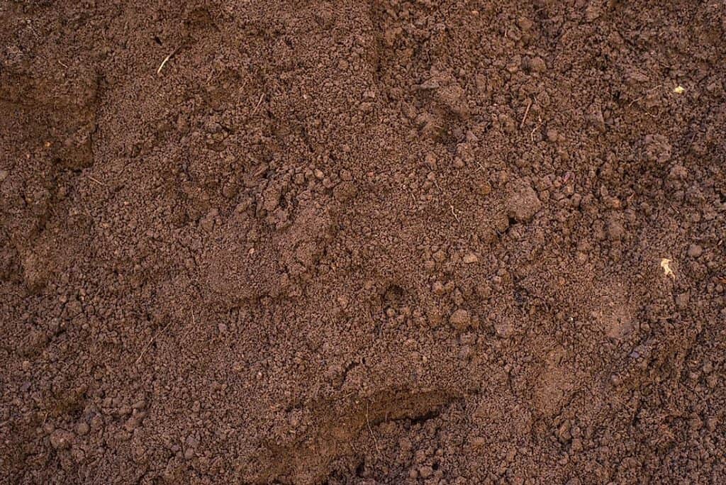 6 Different Types Of Soil In India That Can Be Used To Grow Plants 7 Loamy Soil