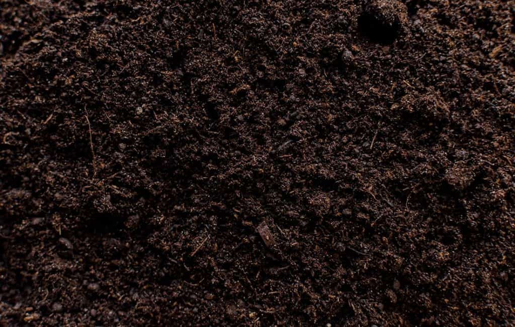 6 Different Types Of Soil In India That Can Be Used To Grow Plants 5 Peaty Soil
