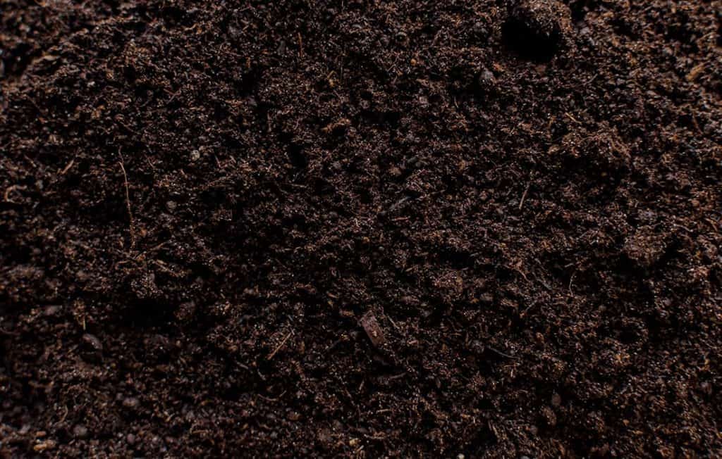 Peaty Soil