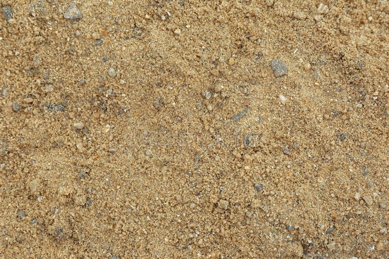 6 Different Types Of Soil In India That Can Be Used To Grow Plants 3 Sandy Soil