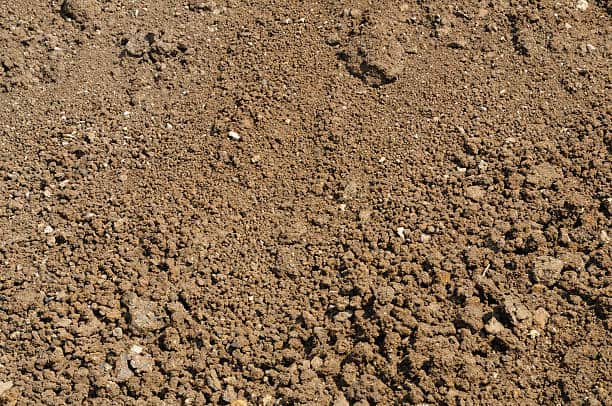 6 Different Types Of Soil In India That Can Be Used To Grow Plants 4 Silty Soil