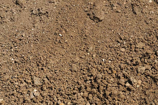 Silty Soil