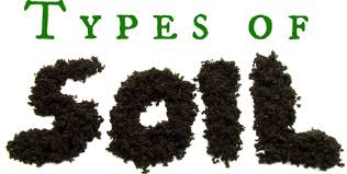 6 Different Types Of Soil In India That Can Be Used To Grow Plants 8 Types Of Soils