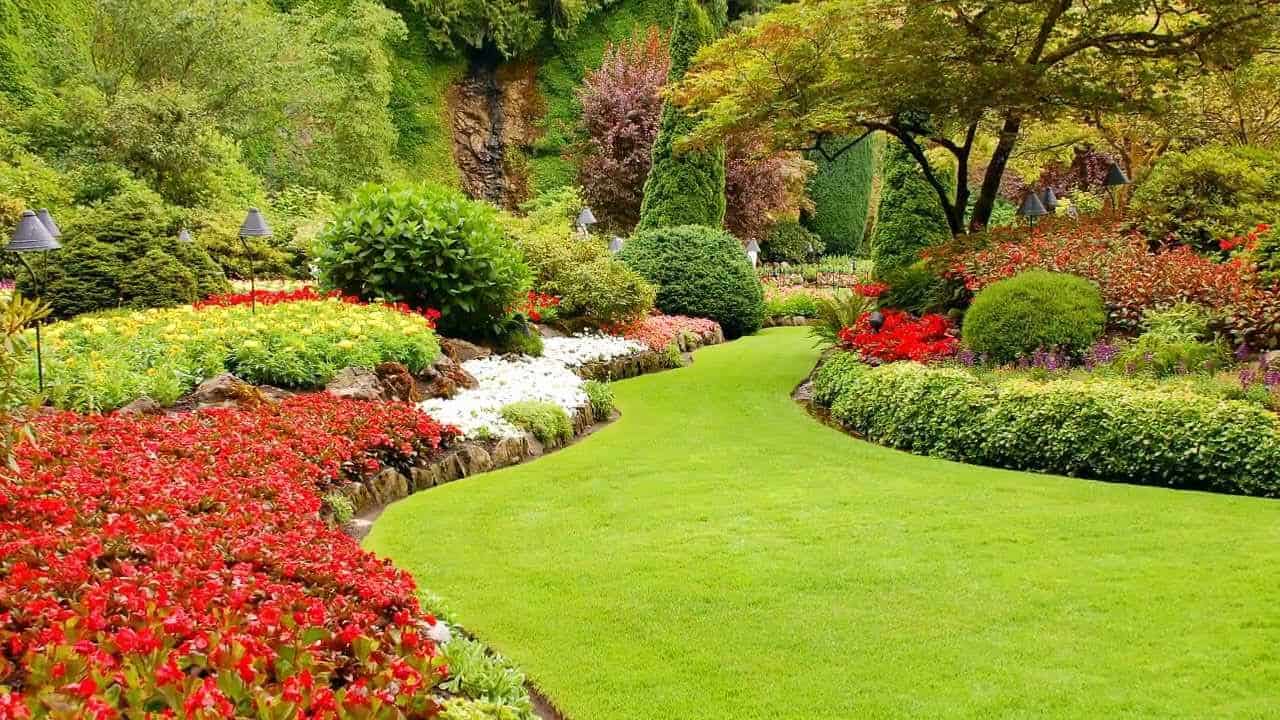 7 Different Types Of Gardens: Names And Features