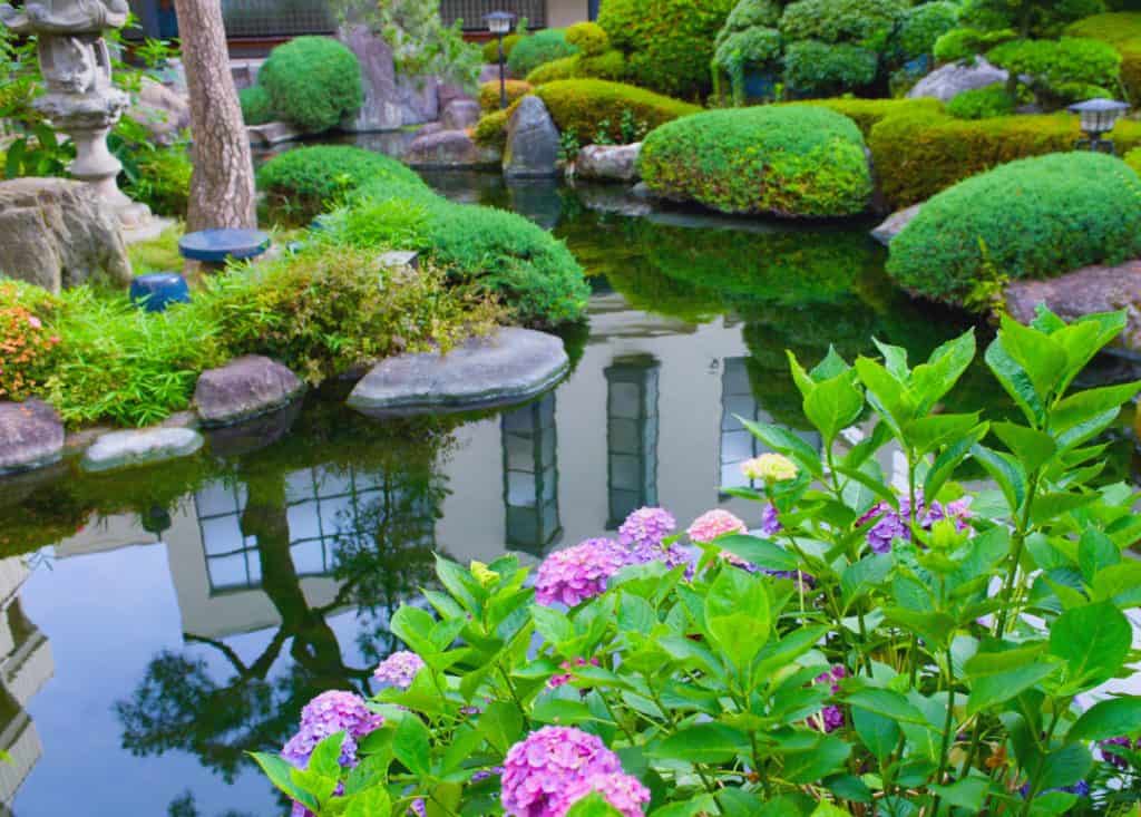 7 Different Types of Gardens: Names and Features 5 Water Gardens