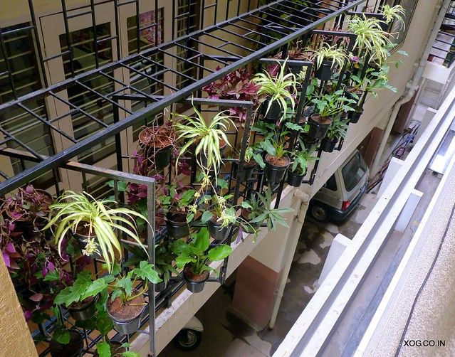 Best Balcony Grills for Safety and Aesthetic Appeal: Types, Designs & Installation Tips 1