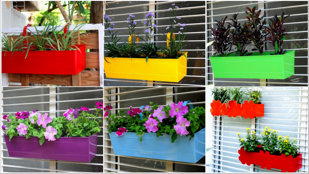 Designs For Window Grills With Gardens