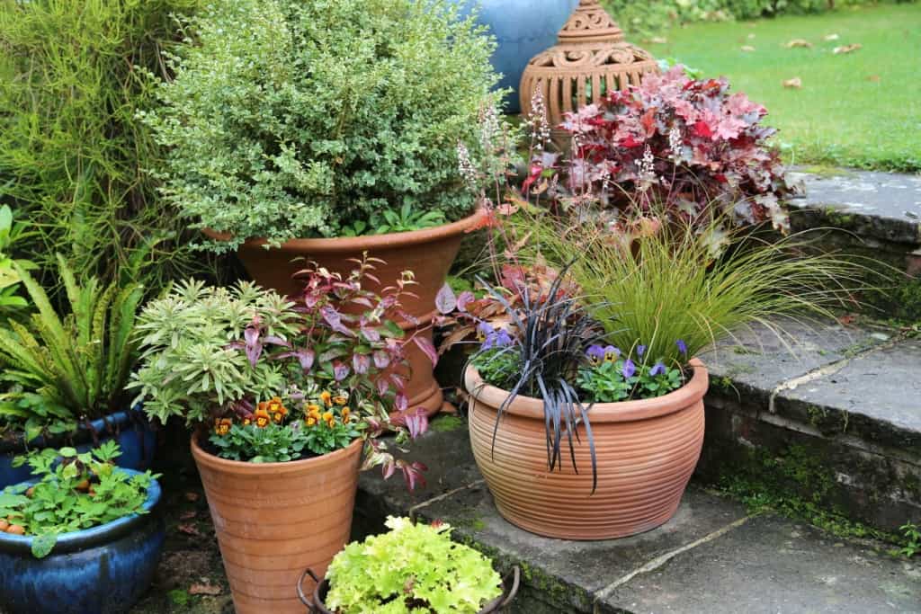 Colourful Planters and Pots
