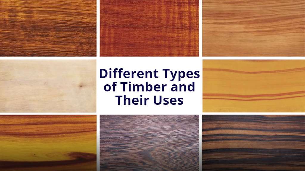 types of timber