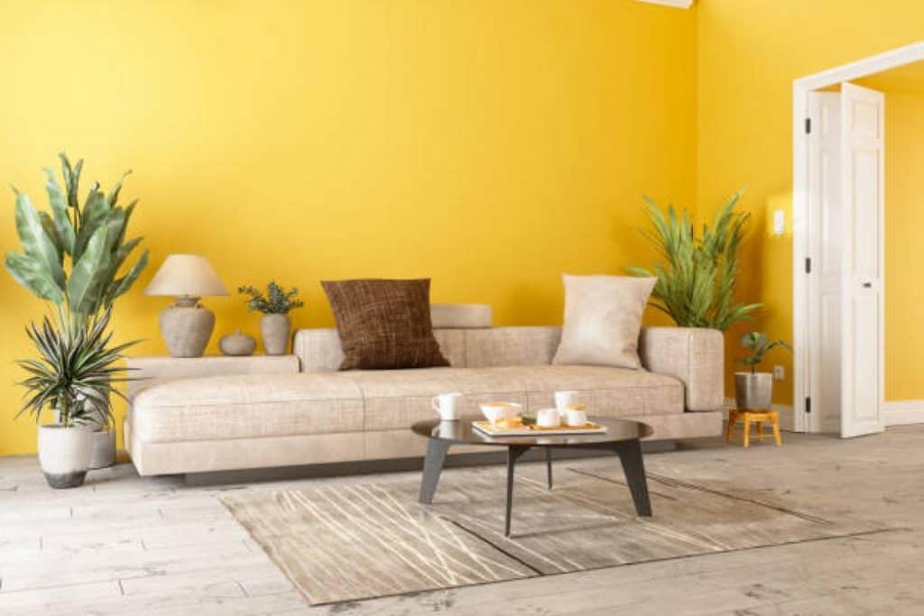 20 Best Color Combination for Yellow 13