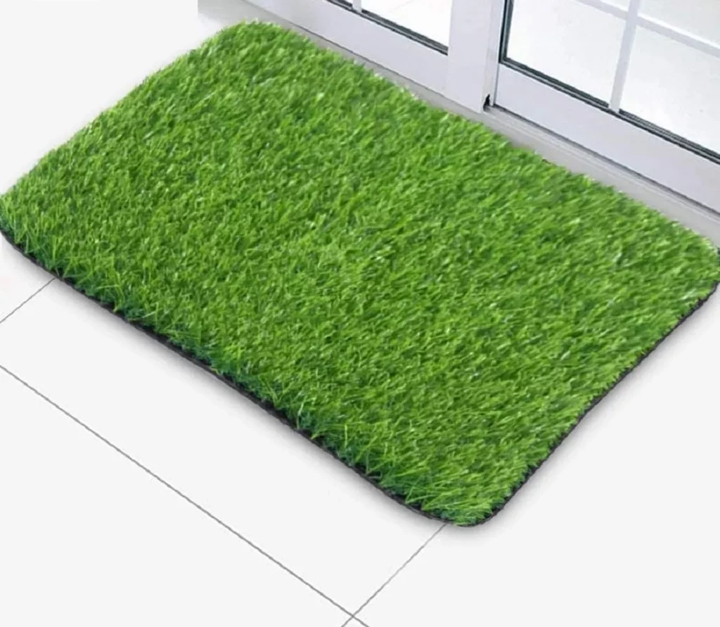 Ziaula Grass Door Mat