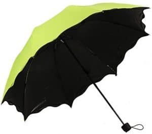 Top Umbrella Brands in India: Fashion and Functionality Combined 1