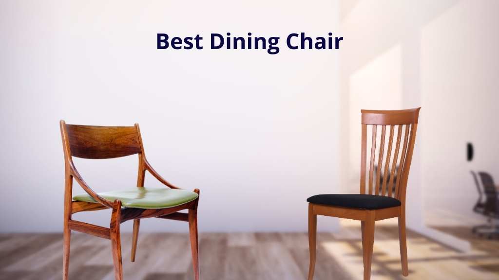 Best Dining Chairs