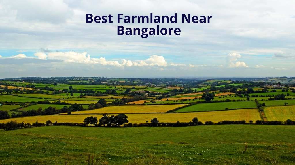 best managed farmland near bangalore