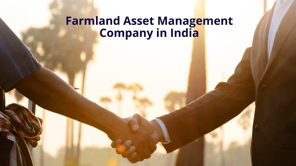 farmland asset management