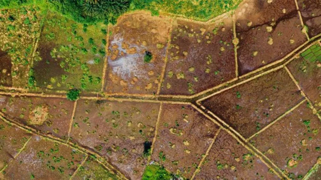 What is Undivided Share of Land?: How is the Undivided Share of Land Calculated? 2 Undivided Share of Land