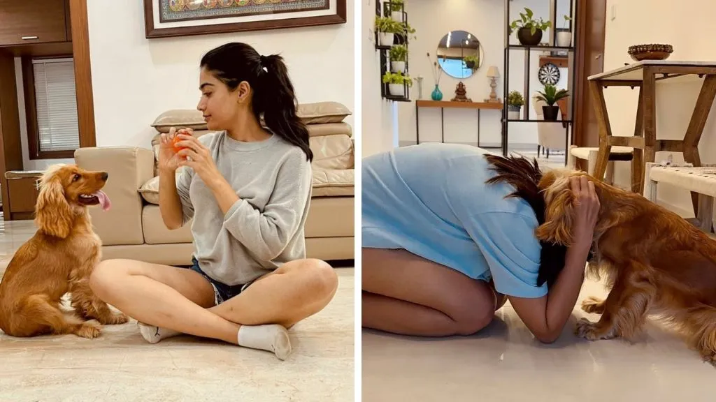 Rashmika Mandanna With her Pet in Hyderabad Home