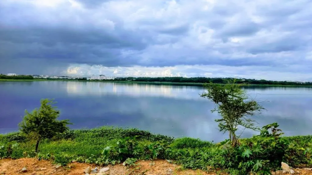 Bellandur Lake Bangalore