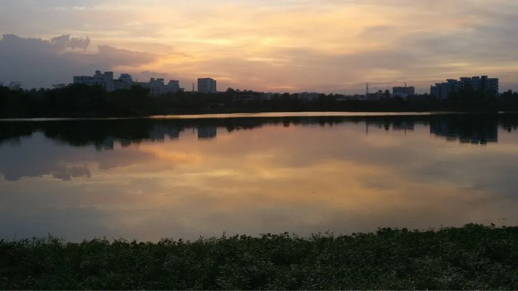 Jakkur Lake Bangalore