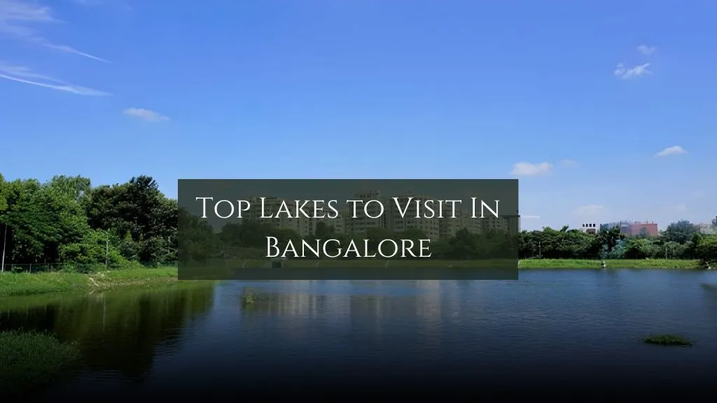  Top Lakes to Visit in Bangalore Picnic &  Boating Spots