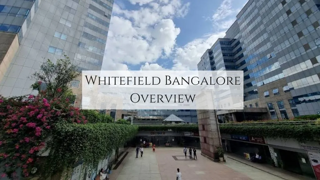 Whitefield Bangalore Overview