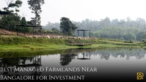 Best Managed Farmlands Near Bangalore