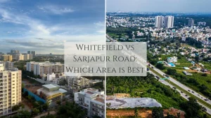 Whitefield vs Sarjapur Road Which Area is Better to Buy Property