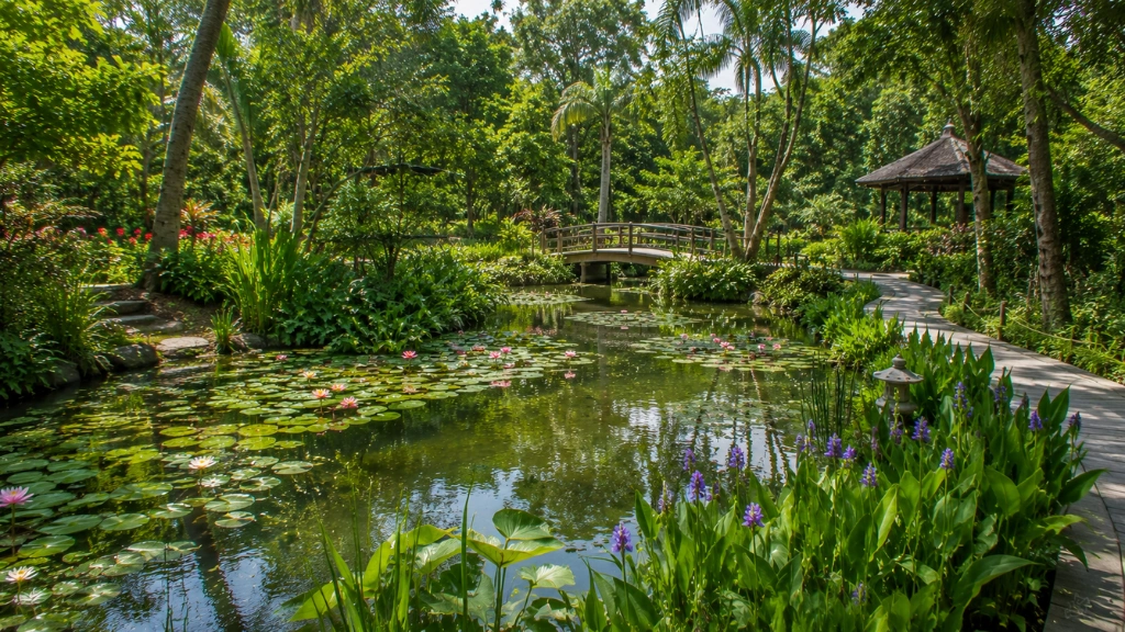 Water Garden