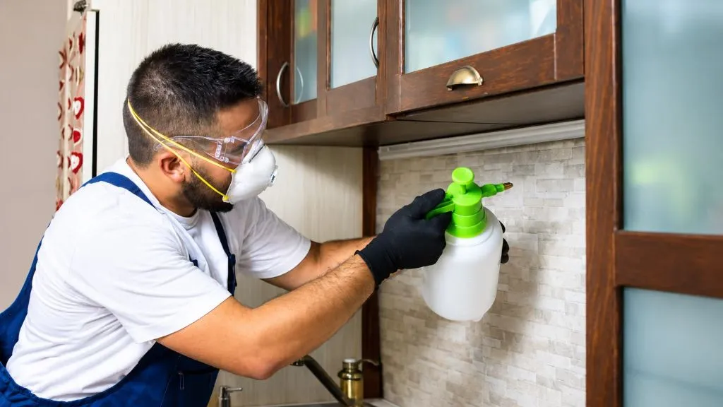 Preventing Termites by Spraying Pesticides on Wooden Doors